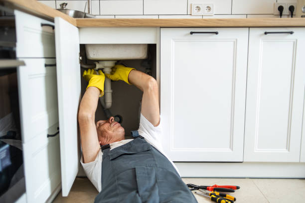 Best Sprinkler Systems  in New Buffalo, MI