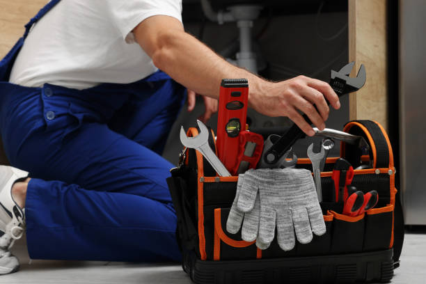 Best Toilet Repair Services  in New Buffalo, MI